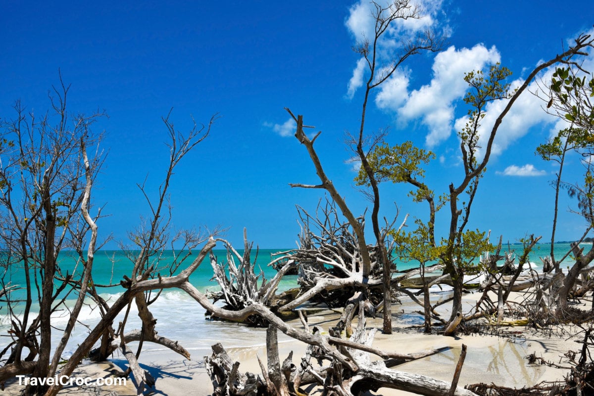 Beer Can Island Florida