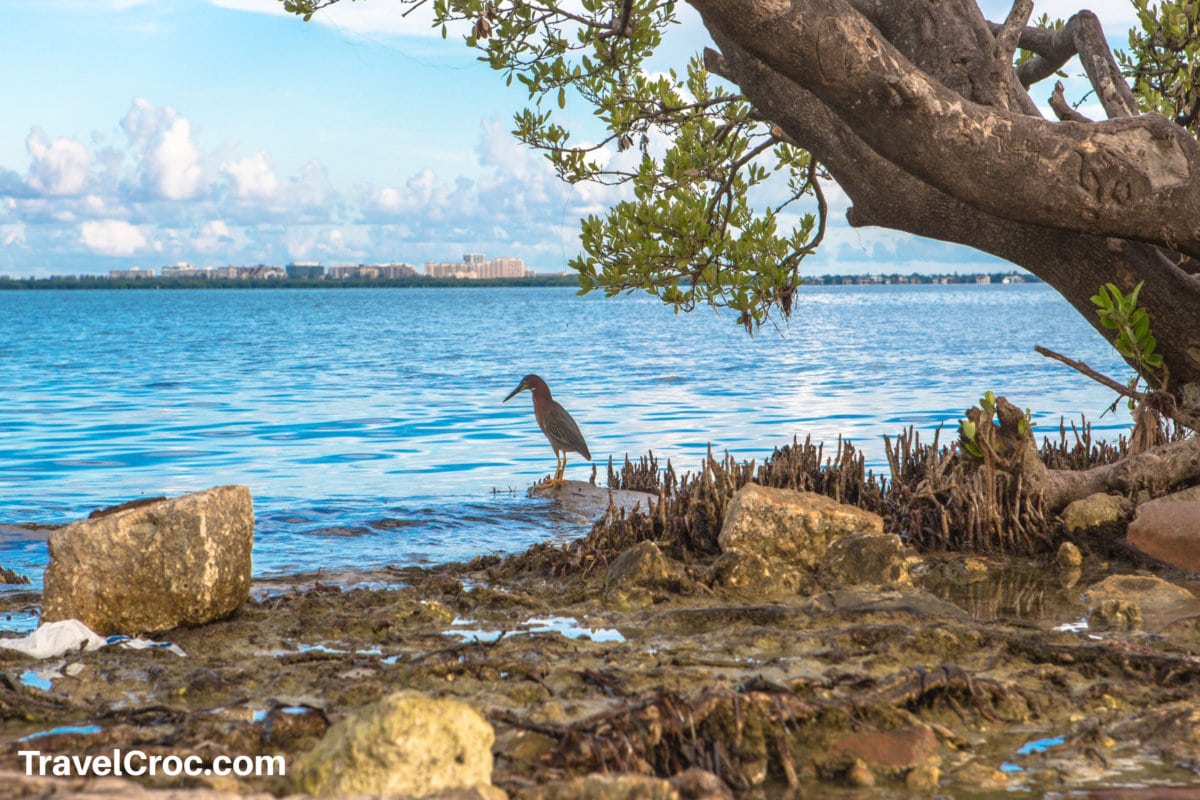 Biscayne National Park Florida Clear water Beach