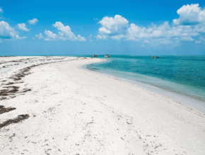 Florida Beaches Clear Water Caladesi Island