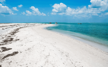 Florida Beaches Clear Water Caladesi Island