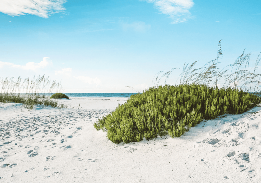 Florida Beaches Clear Water Rosemary Beach