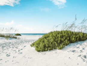 Florida Beaches Clear Water Rosemary Beach