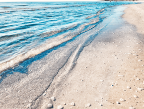 Florida Beaches Clear Water Siesta Key Beach