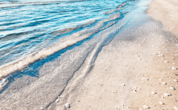 Florida Beaches Clear Water Siesta Key Beach